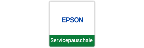 Nadeldrucker Epson